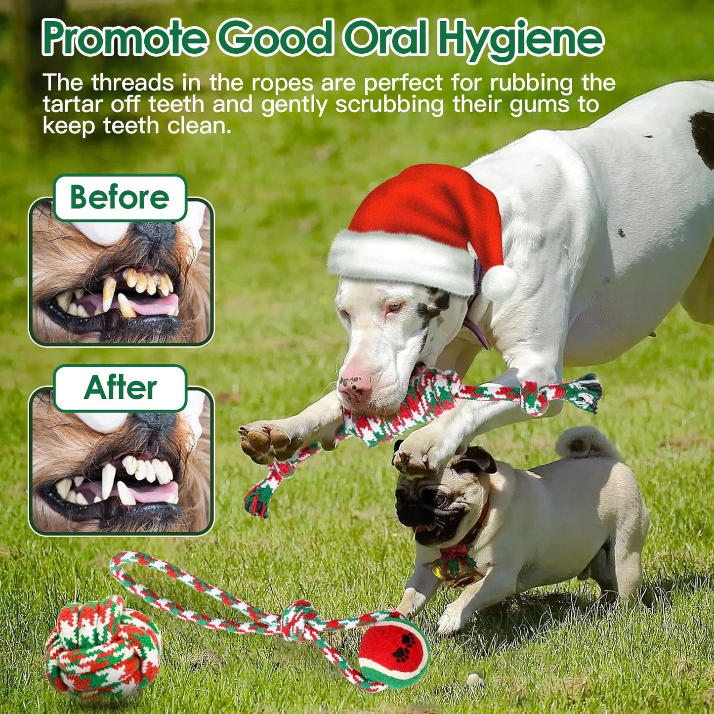 GBruno 5-Piece Christmas Dog Rope Chew Toys