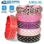 GBruno Premium Spiked Leather Dog Collar