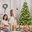 7FT PE&PVC Prelit Christmas Tree - Korvel