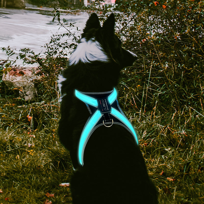 Pet supplies: explosion - proof, flushable, 8 - gear, color - changing LED, chest braces, clothes and collars with traction. - Korvel