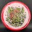 Halo R-Pro Pig - Zombie Pig Disc Golf Disc