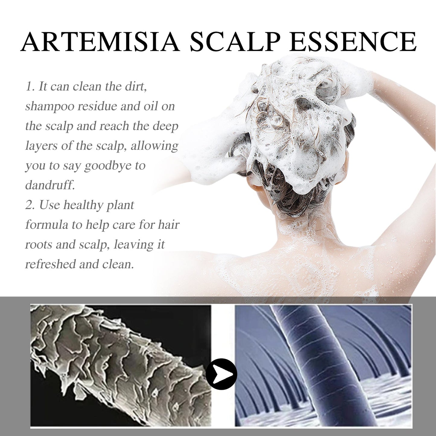 Champú Artemisea para el Cuidado del Cuero Cabelludo para Cabello Saludable