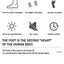 Multifunctional massage shoes Sole acupoint massage shoes - Korvel