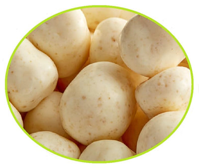 Oasis Supply Cinnamon Bun Cookie Dough Bites