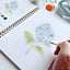 BloomArt Watercolor Set - Korvel