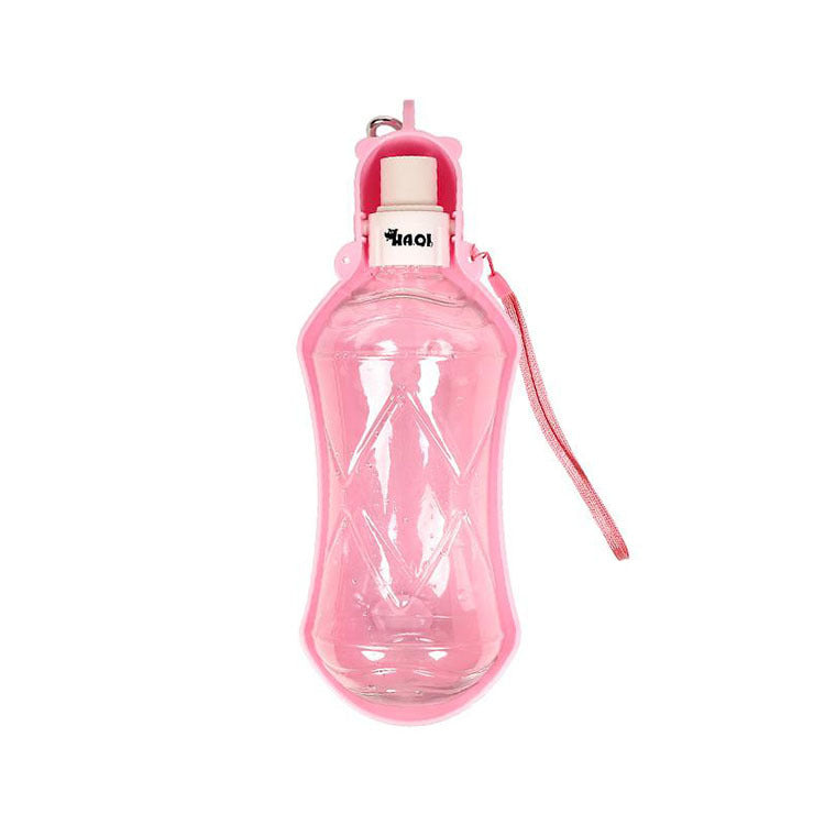 Bouteille d'eau portable pour chiens en extérieur