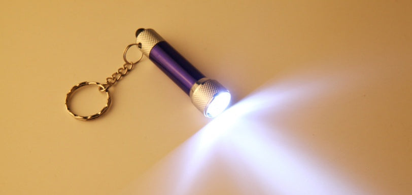 Lampe de poche LED mini portable avec porte-clés pour les urgences