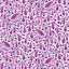 Tela de Algodón con Pájaros y Ramas en Magenta Oscuro