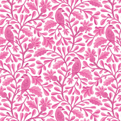 Tela de Algodón Birds and Branches Bubblegum Roux - 44"/45" por Yarda