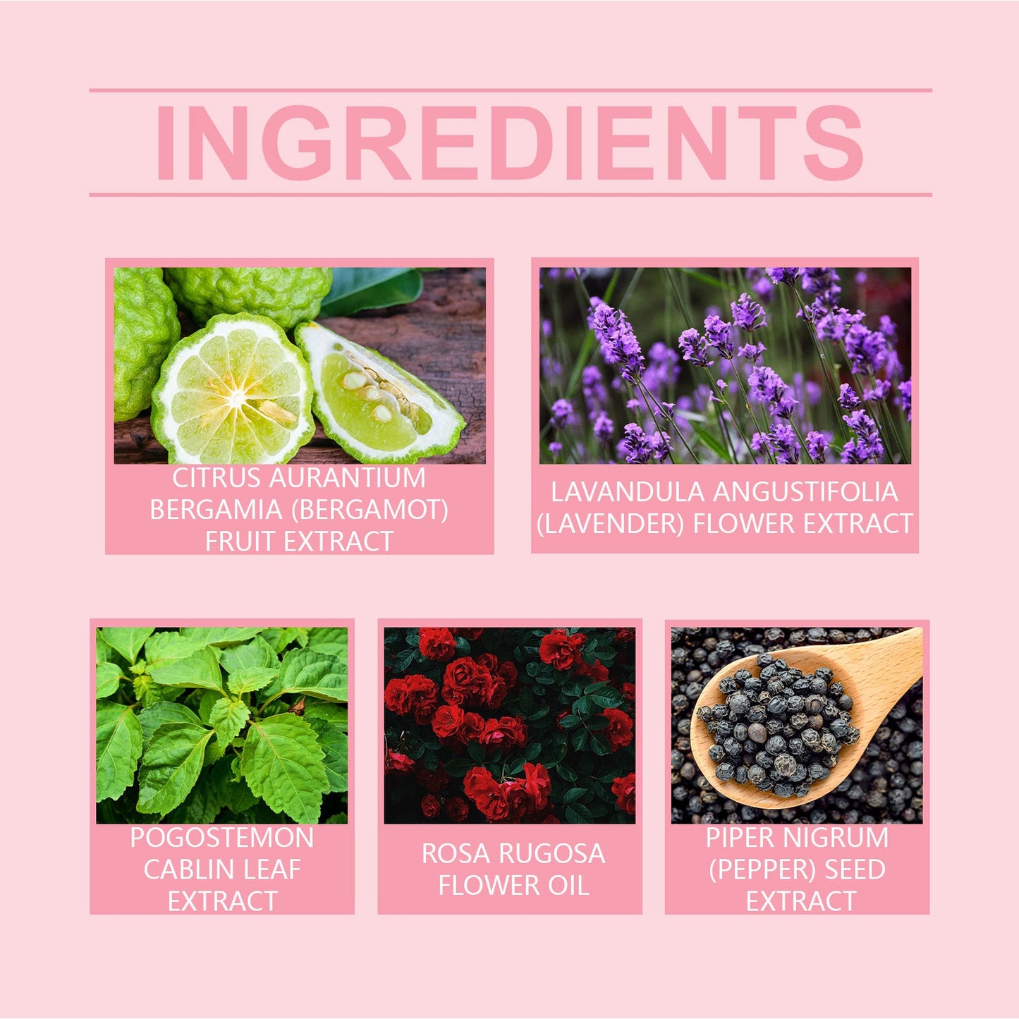 Eau de Toilette Élégante - Parfum Frais