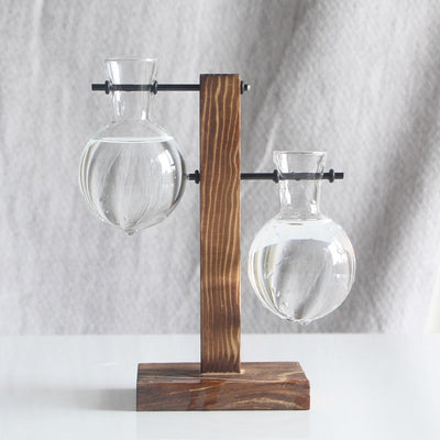Transparent Bulb Vase with Wood Stand. For hydroponics. Great for coffee shops & room decor. - Korvel