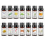 14 Piece Cross border Unilateral Essential Oil Set Box Unisex 14 Pack Body Set 10ml - Korvel