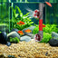 4-Blade Auto-Rotating Fan Kit for Fish Tanks - Clover Accessories