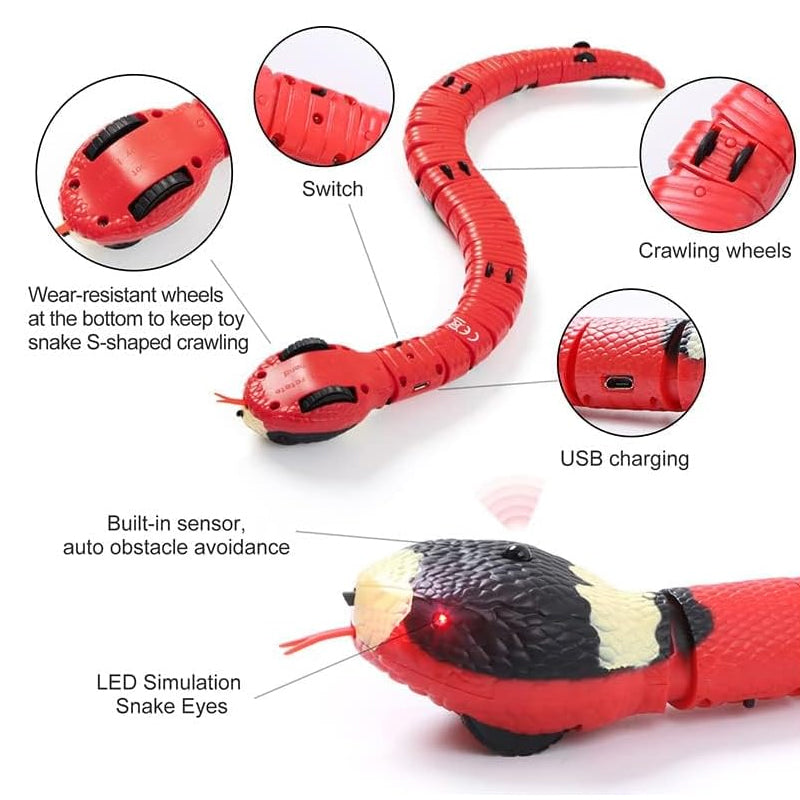 USB Rechargeable Interactive Cat Toy with Smart Sensing, an Automatic Electronic Snake for Kittens' Indoor Play. - Korvel