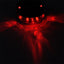 5-LED Bicycle Tail Light with Dual Laser Safety - Korvel