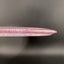 Z Sparkle XL Disc - Édition Limitée 2026