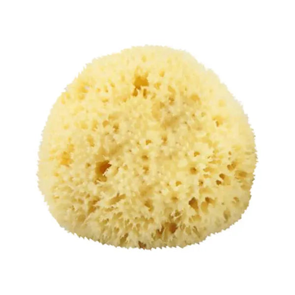 La Esponja Natural de Baño #2 Mediana de The Sponge Company
