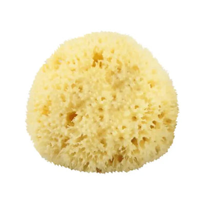 The Sponge Company Natural Bathing Sea Sponge #2 Medium