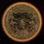 Particle Glow Proton Hex - Champions Cup 2025