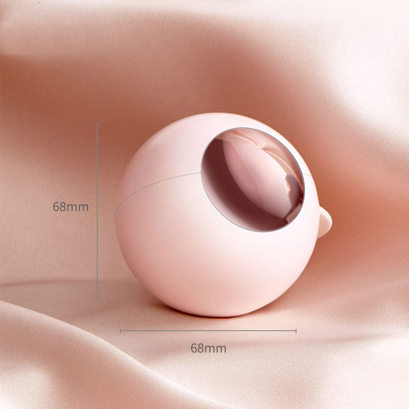 Light luxury and portable clothing hair sticking and brushing machine, washable with cover, business hair remover - Korvel