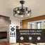 19.7-Inch Classic Ceiling Fan with Light