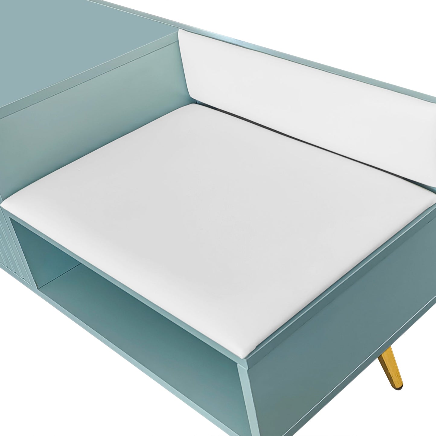 Modern Tiffany Blue Shoe Storage Bench with Cushions