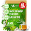 Té de Hojas de Soursop Premium