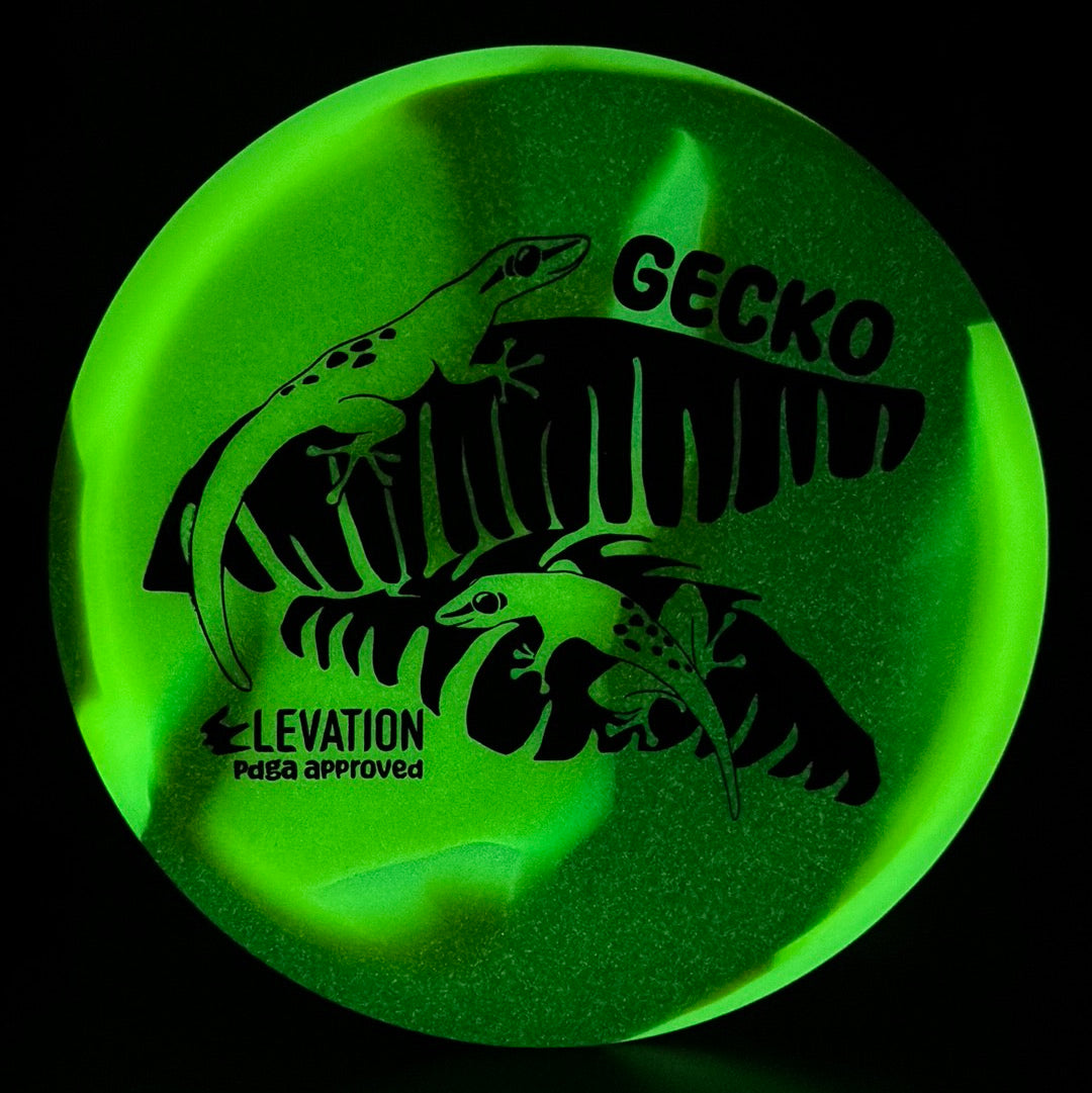 Disco de Golf glO-G Gecko