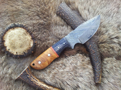 Premium Damascus Steel Deer Skinning Knife – 7 Inch Drop Point with Olivewood Grip - Korvel