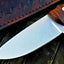 Premium Custom D2 Tool Steel Skinning Knife for Outdoor Adventures - Korvel