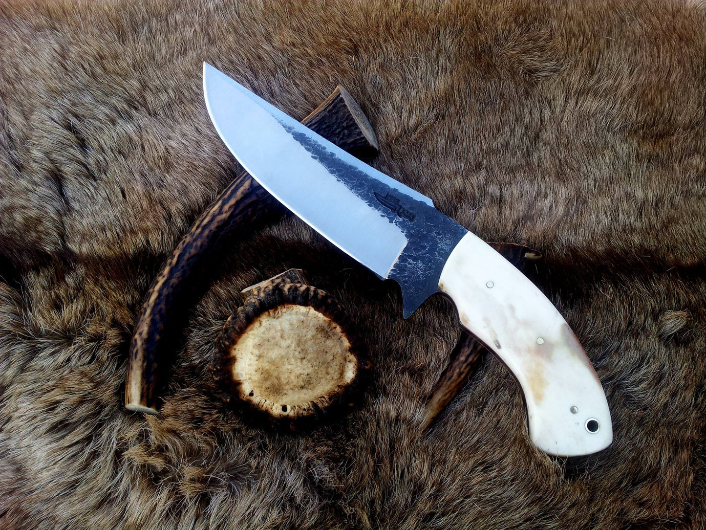 Premium Custom 1095 Hunting Knife | Elegant Camel Bone Handle & Brass Lanyard | 10.5" | Includes Leather Sheath | KBS Knives - Korvel