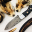 Premium Handmade Damascus Steel Hunting and Skinning Knife - Korvel