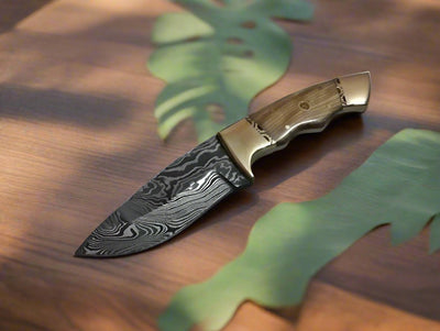 Premium Handmade Damascus Steel Deer Skinning Knife with Olivewood Handle - 8.5-inch - Korvel