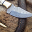 Premium Damascus Steel Hunting Knife – 7.25 Inch Drop Point Blade with Antler Handle and Brass Accents - Korvel
