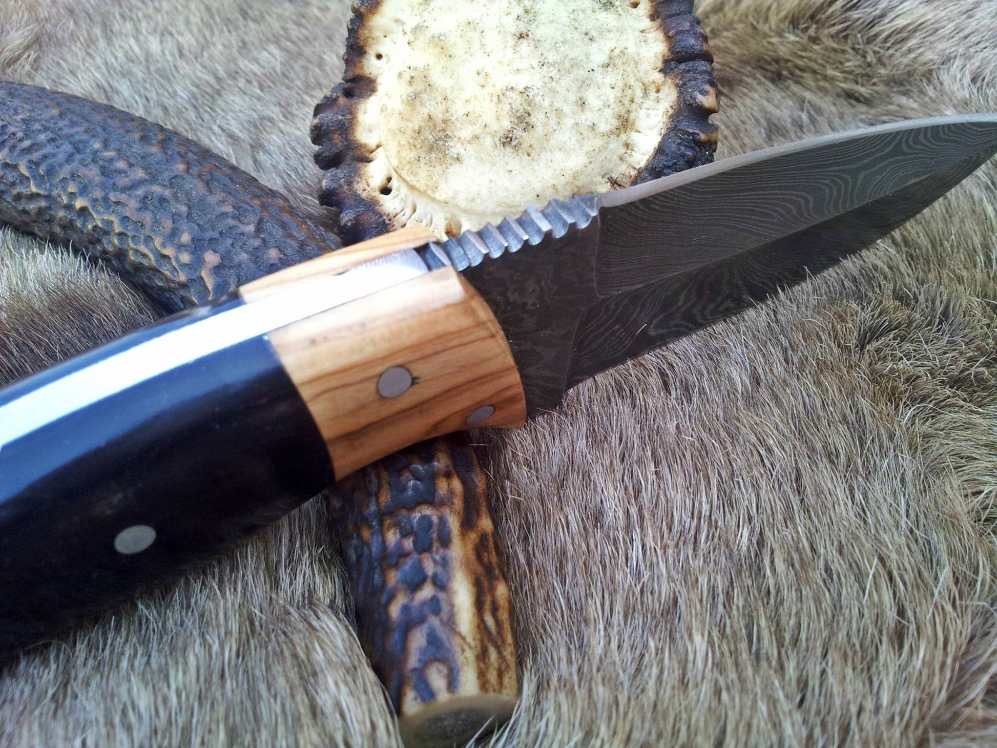 Exquisite Damascus Double Edge Knife with Buffalo Horn Handle - Korvel