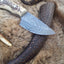 Handcrafted Damascus Steel Deer Skinning Knife with Unique Antler Handle – 7 Inch Precision Blade - Korvel