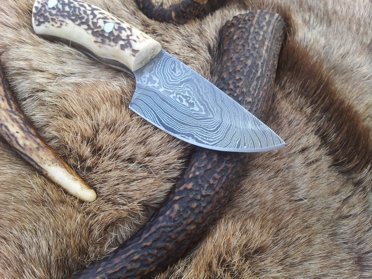 Handcrafted Damascus Steel Deer Skinning Knife with Unique Antler Handle – 7 Inch Precision Blade - Korvel