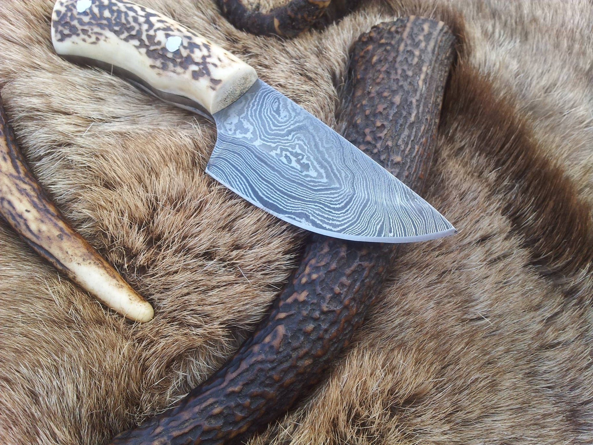 Handcrafted Damascus Steel Deer Skinning Knife with Unique Antler Handle – 7 Inch Precision Blade - Korvel