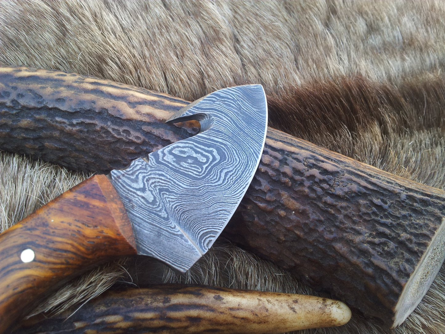 Compact Guthook Knife - Exquisite Damascus Steel & Elegant Rosewood Handle - Korvel