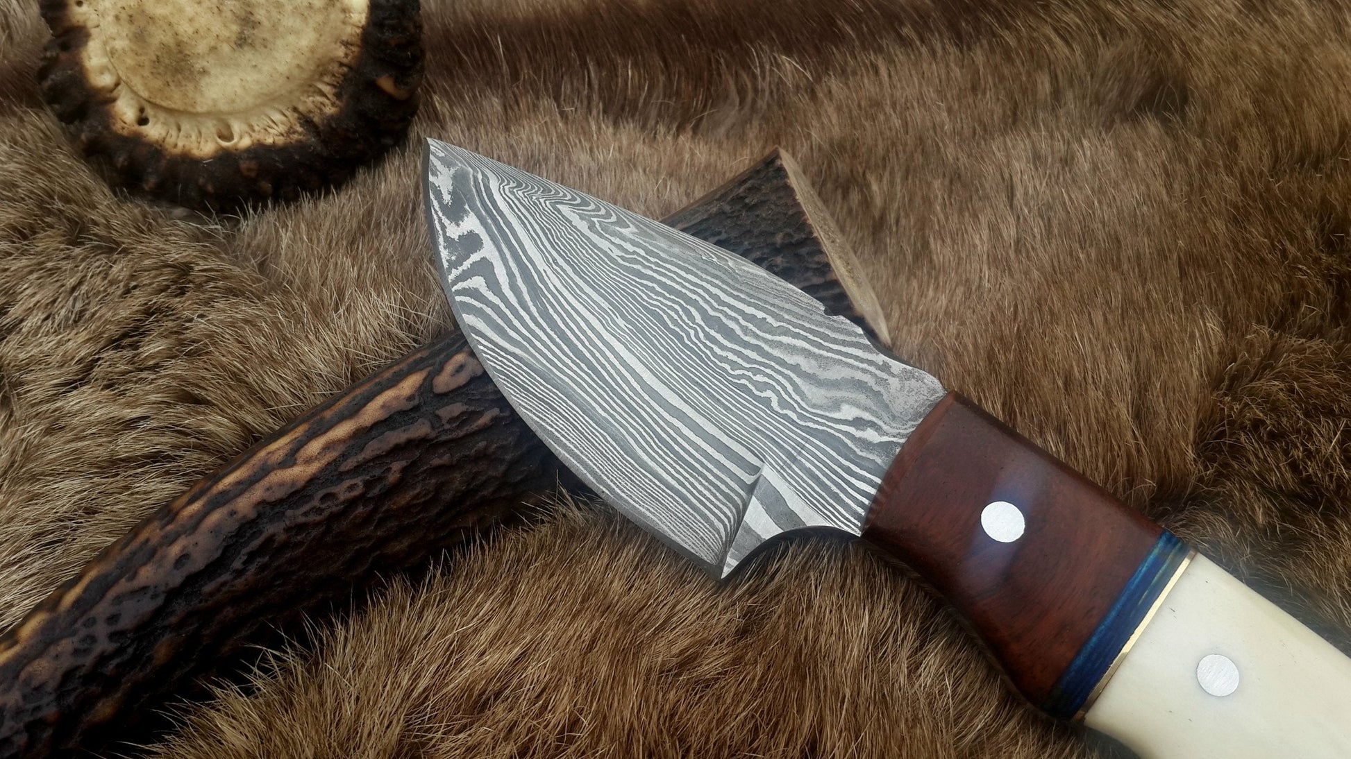 Premium Damascus Steel Skinning Knife with Exquisite Bone and Rosewood Handle – 7 Inches Long - Korvel