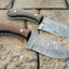 Elite Damascus Steel Skinning Knife – 7 Inch Precision Tool with Luxurious Walnut and Rosewood Handle - Korvel