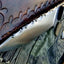 Premium Custom 1095 High Carbon Steel Hunting and Skinning Knife - Korvel