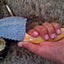 Premium Damascus Steel Gut Hook Skinning Knife – 9 Inch with Olive Wood Handle - Korvel