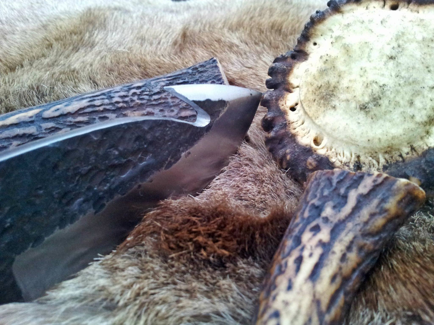 Premium Handcrafted High Carbon Steel Gut Hook Knife - Korvel