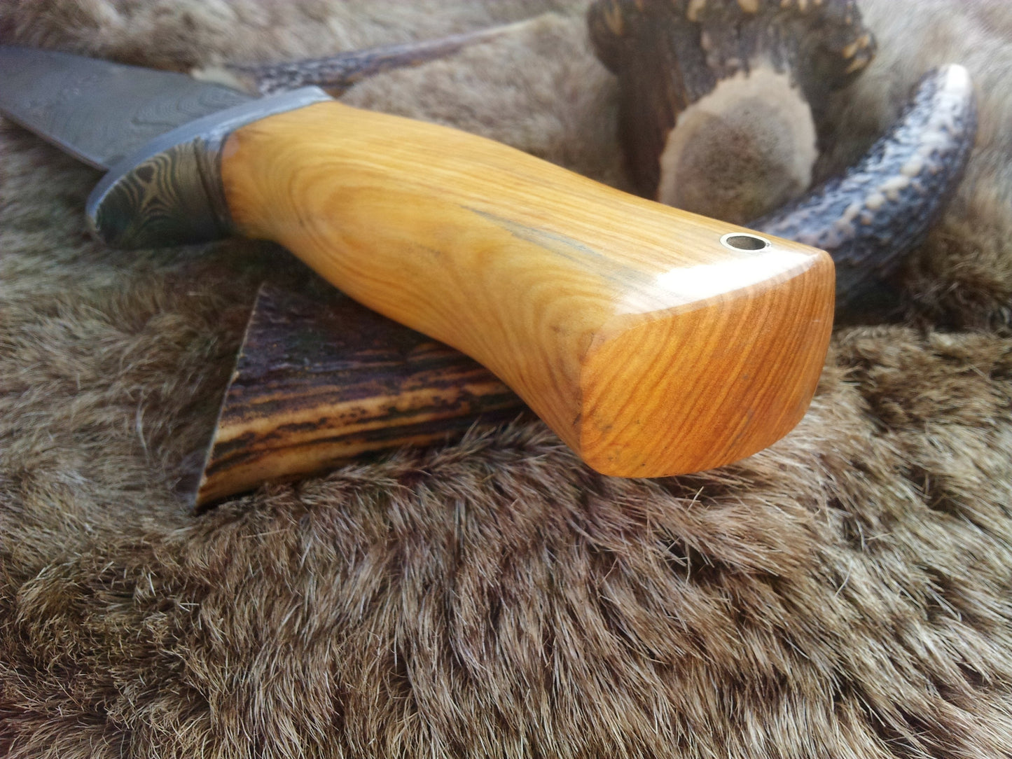 Premium Custom Damascus Hunting Knife | Olivewood Grip & Guard | 12" | Includes Leather Sheath | KBS Knives - Korvel