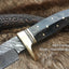 Premium 9-Inch Damascus Steel Hunting Knife with Buffalo Horn Handle & Brass Guard | KBS Knives - Korvel