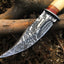 Premium Custom Damascus Steel Hunting and Skinning Knife - Korvel