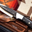 Premium Hand-Forged 1095 High Carbon Survival Knife - Korvel