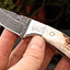Artisan Crafted Mini Skinner Knife with New Zealand Red Stag Antler Handle - Korvel