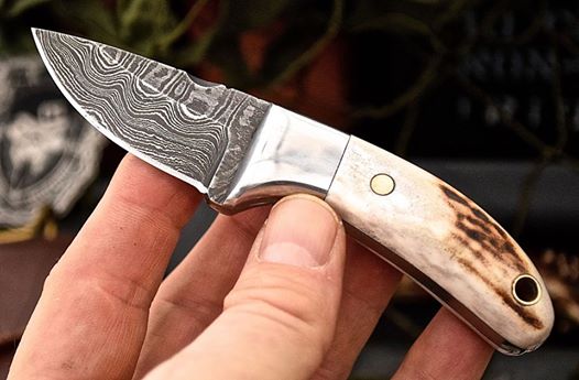 Artisan Crafted Mini Skinner Knife with New Zealand Red Stag Antler Handle - Korvel